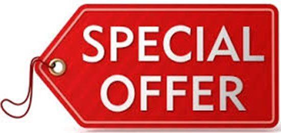 Special offer garage repair