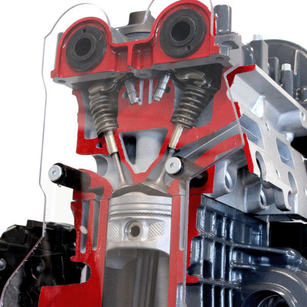 Petrol Engine Cutaway Model DOHC FSI - Image 4