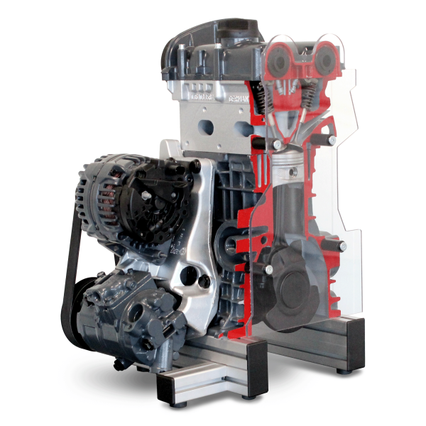 Petrol Engine Cutaway Model DOHC FSI - Image 6