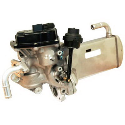 EGR Valves and Coolers