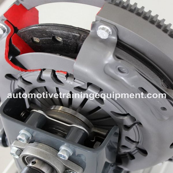 Diaphragm Spring Clutch Cutaway Functional Model - Image 3