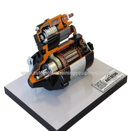 Starter Motor Cutaway (on base)