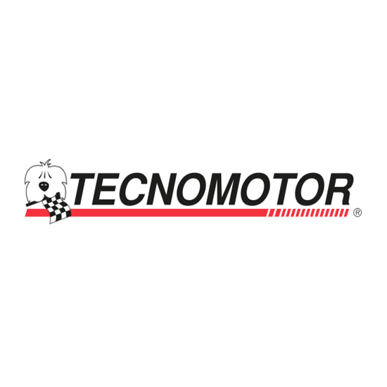 Tecnomotor/Nexion Group