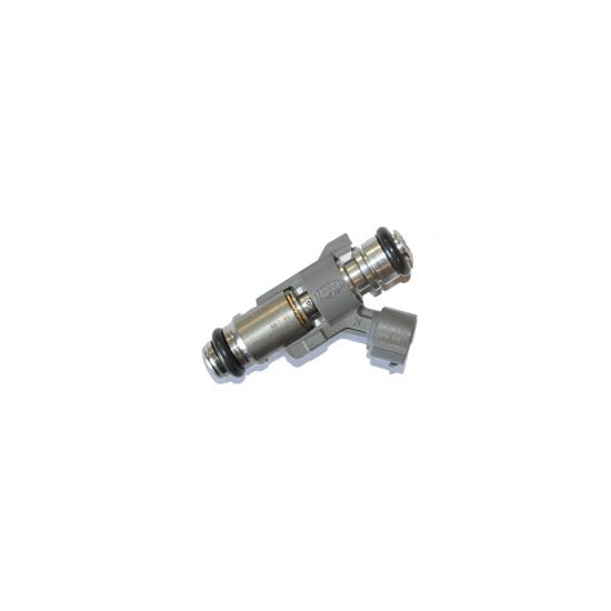 Genuine Petrol Injector Peugeot,Citroen, 1.4 Litre 81235