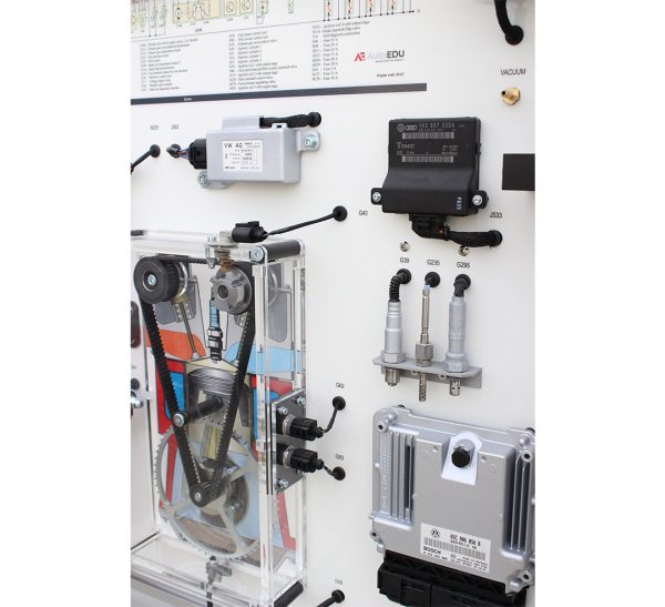 Engine Management System Bosch Motronic FSI Educational Trainer - Image 4