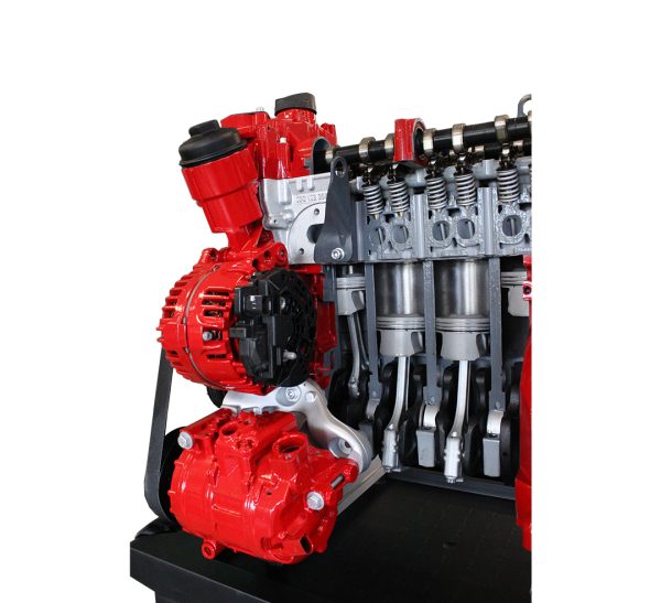 Petrol DOHC Engine Cutaway Educational Trainer - Image 4