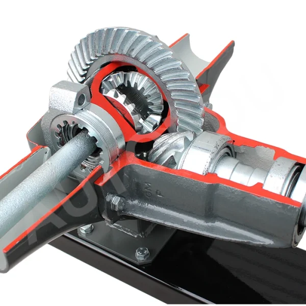 4×4 Vehicle Transmission With Mechanical Gearbox Educational Trainer - Image 3